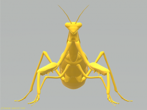 3d praying mantis free download stl, obj cnc & 3dprint 3d praying mantis free download stl, obj cnc & 3dprint