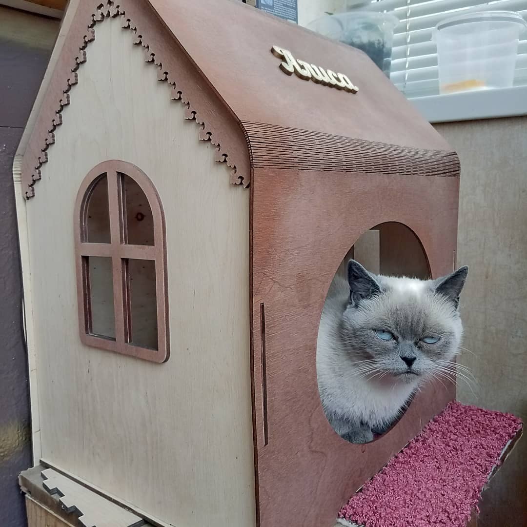 CAT HOUSE CNC LASER CUTTING CDR DXF FILE FREE - Dezin