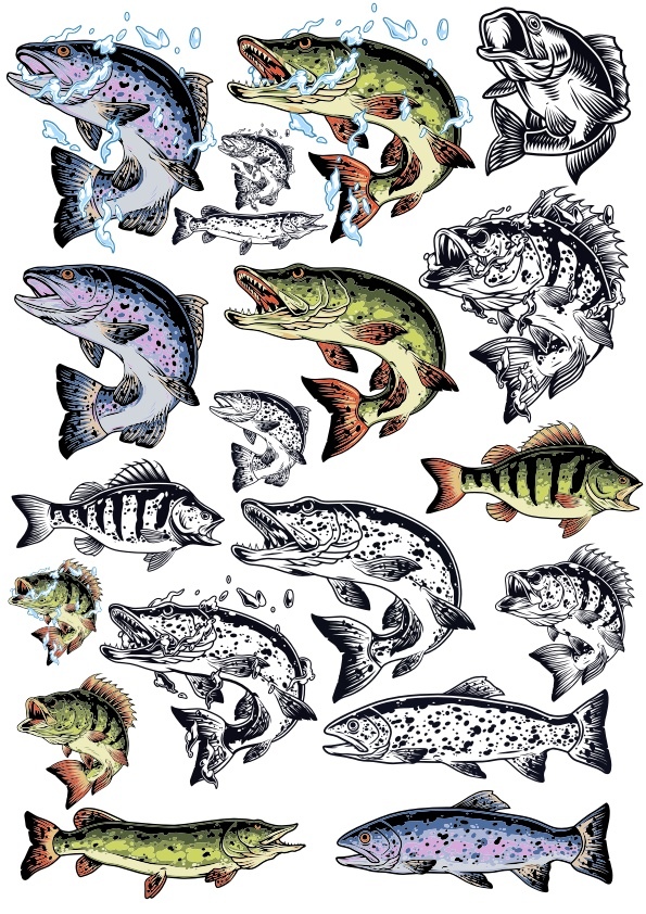 FREE DOWNLOAD FISH VECTOR FILE FOR T-SHIRT PRINT - Dezin