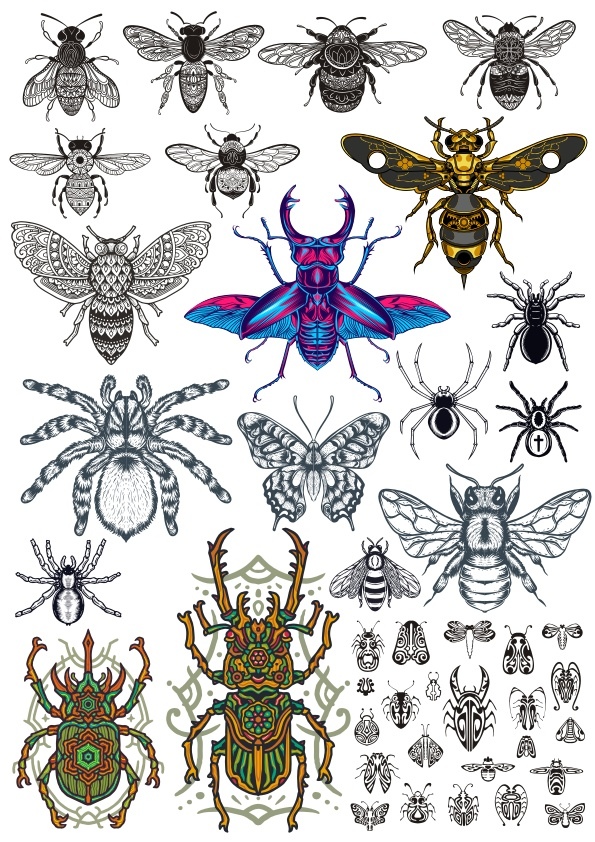 FREE DOWNLOAD INSECTS VECTOR FILE FOR T-SHIRT PRINT - Dezin