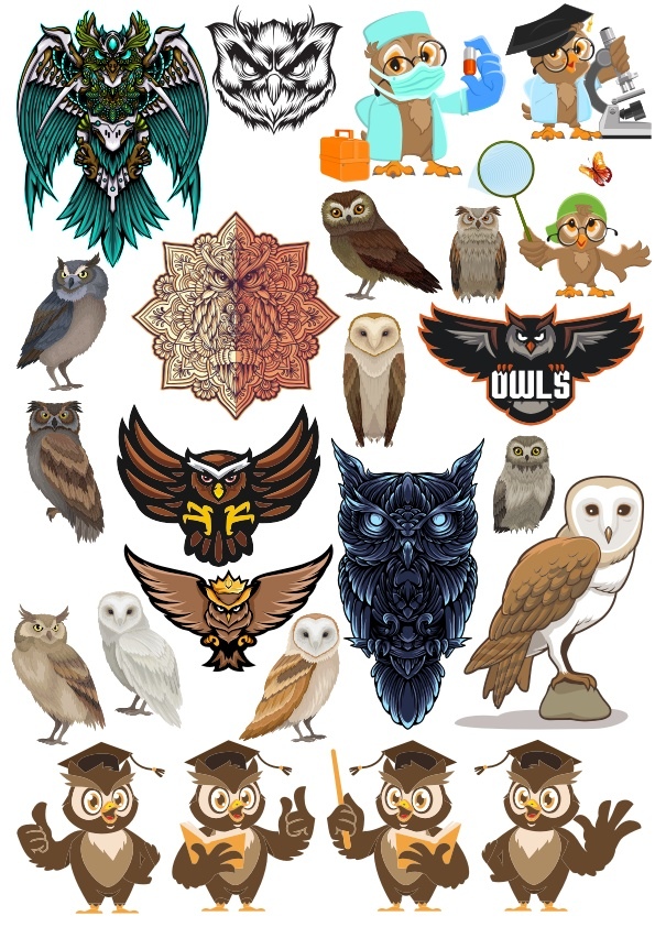 FREE DOWNLOAD OWLS VECTOR FILE FOR T-SHIRT PRINT - Dezin