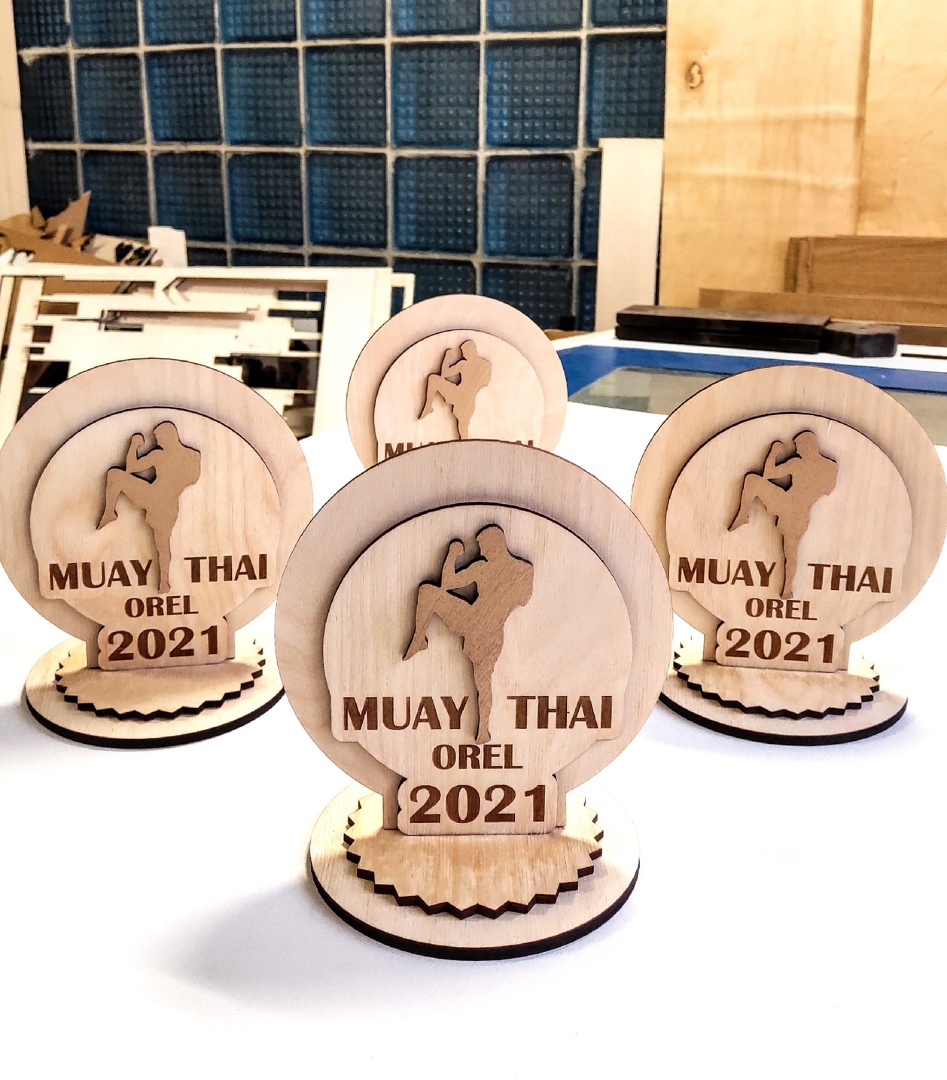 Layout of Award, medal, kickbox - Dezin