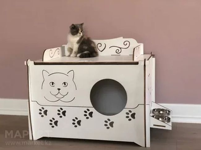 Layout of Cat's house - Dezin