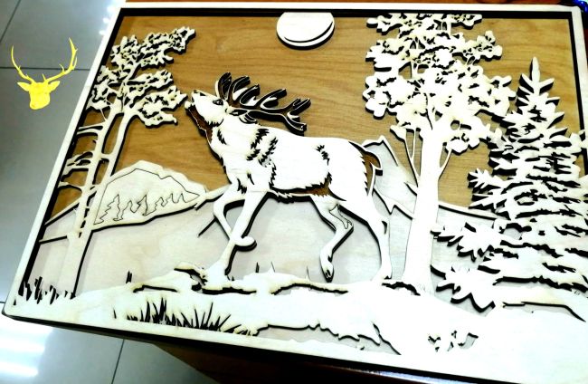 Layout of Multilayer Deer CDR - Dezin
