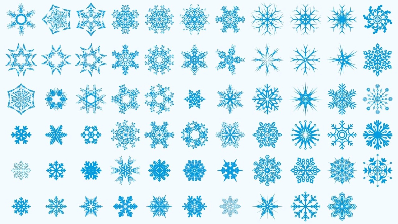 Layout of Snowflakes Vector - Dezin
