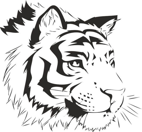  Tiger  Stencil Sticker CDR  File  Download Free Vector For 