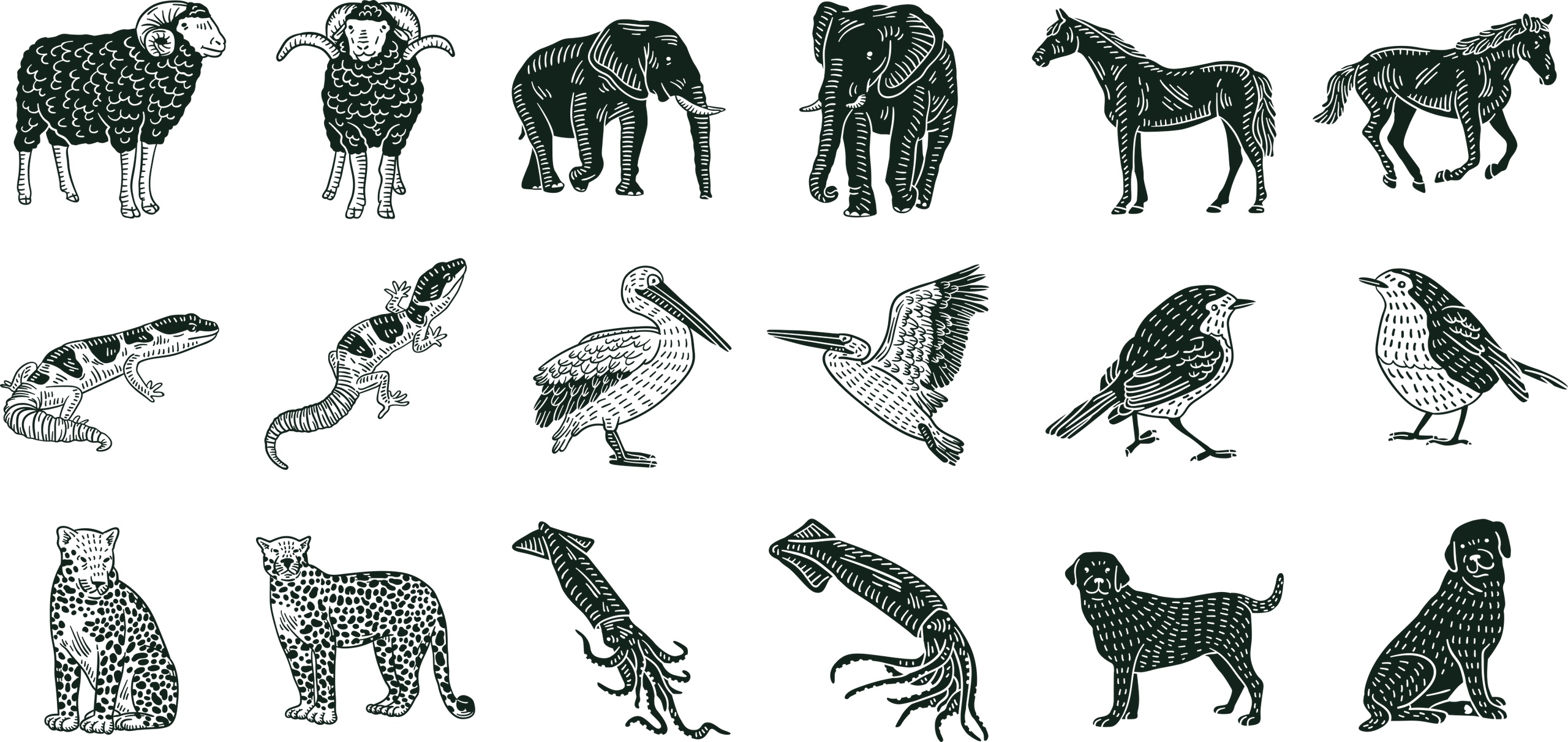 Animals Set Vector - Dezin