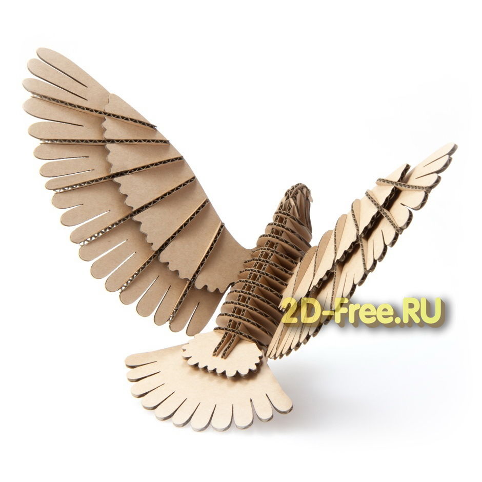 Bird 2d Layout - Dezin
