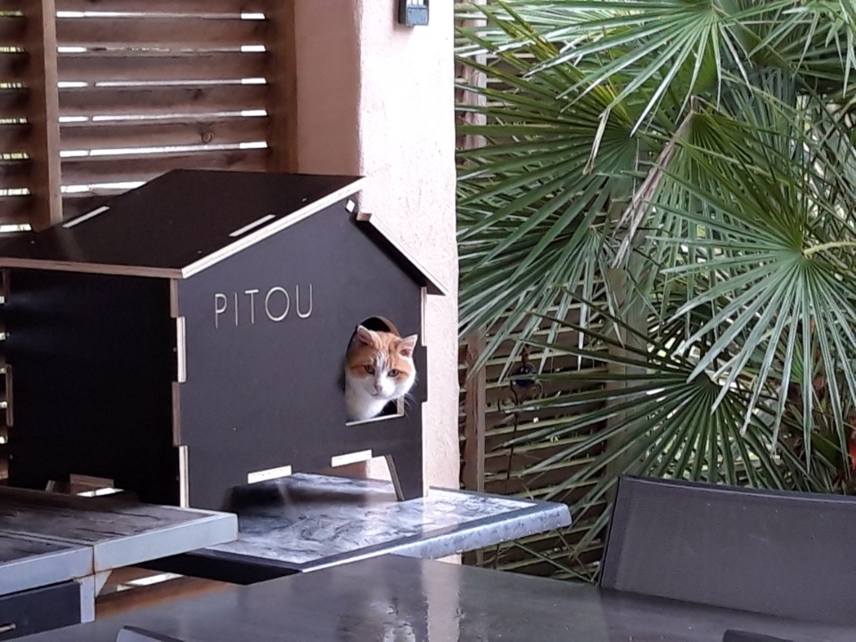 house for cats with a lifting roof - Dezin