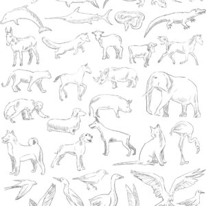 Wild Animals Print CDR Free Vector - Dezin.info