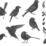 Birds Floral Set CDR EPS SVG Vector File - Dezin