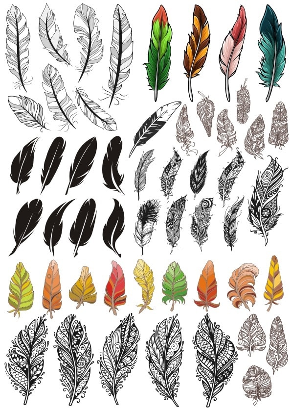 Feathers Set CDR Vector File - Dezin