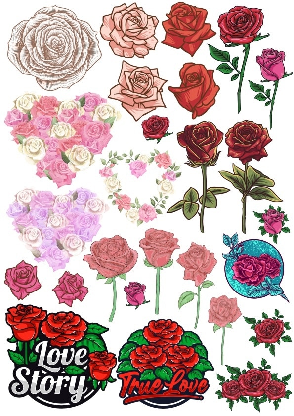Roses Set CDR Free Vector - Dezin