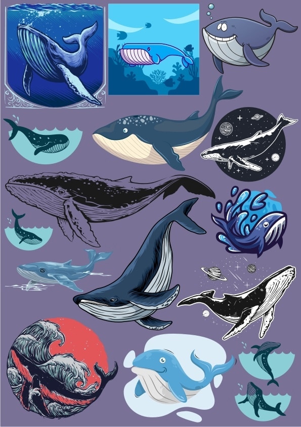Whale Set CDR Vector File - Dezin