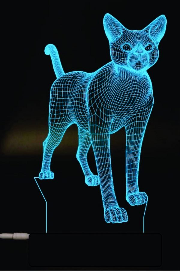 Cat 3D Lamp