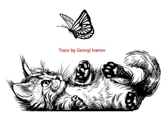 Cat with Butterfly Tracing