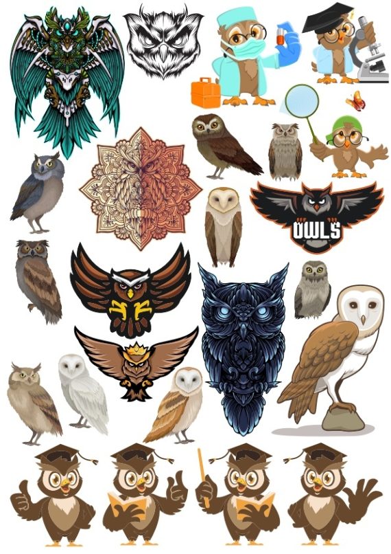 FREE DOWNLOAD OWLS VECTOR FILE FOR T-SHIRT PRINT