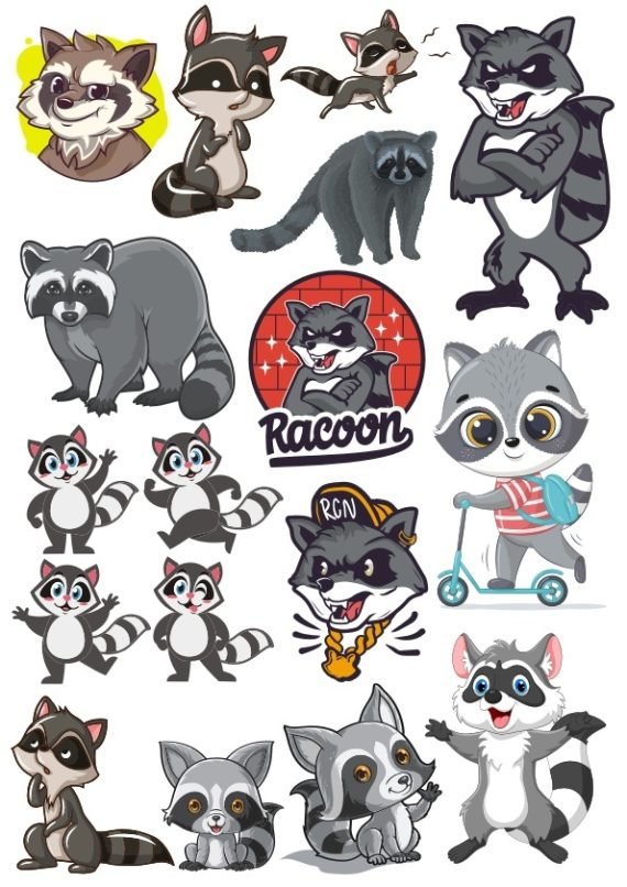 FREE DOWNLOAD RACCON VECTOR FILE FOR T-SHIRT PRINT