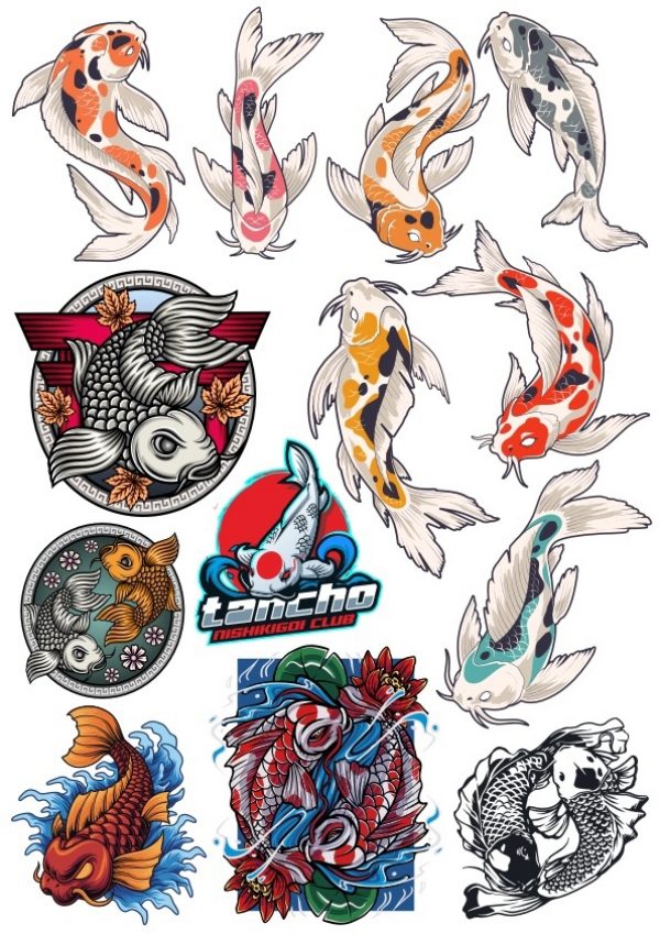 Koi Fish Set Vector CDR File - Dezin.info