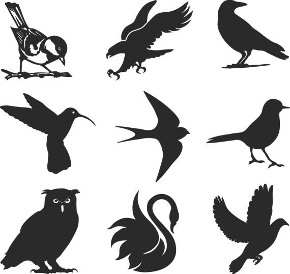 Laser Cut Set of birds Layout vector file free