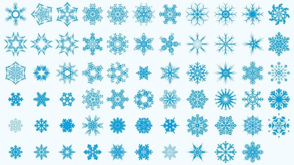 Layout of Snowflakes Vector