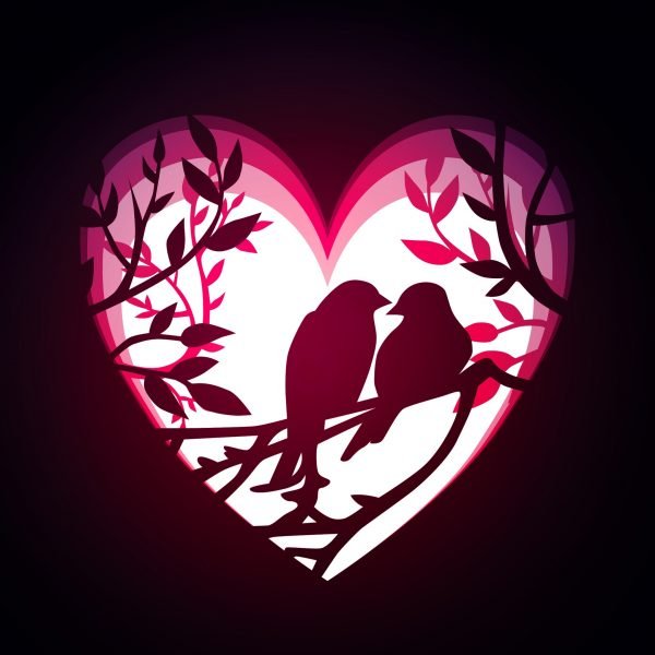 Love Bird Lightbox Template File Free