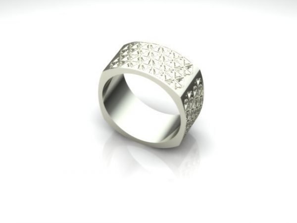 Ring, Jewellery 3D Model, Men’s Ring model 3dm file for 3D printing 16