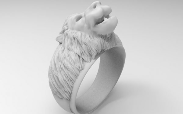 Ring, Jewellery 3D Model, Men’s Ring model stl file for 3D printing 14
