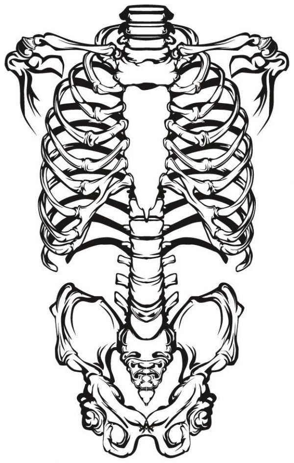 Skeleton Vector