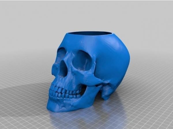 Skull Pot with Drain Holes 3d print files stl format