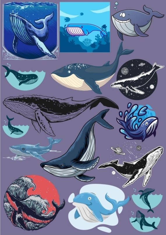 Whale Set CDR Vector File