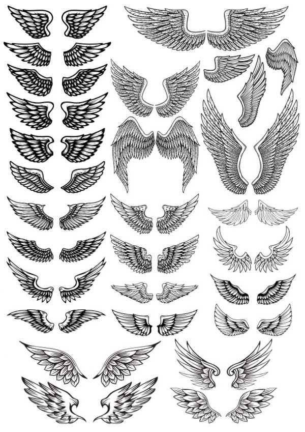 Wings Set Vector file free - Dezin.info