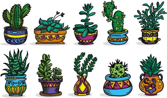 color_plants_set